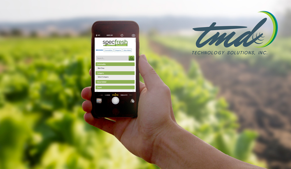 Introducing TMD Tech Solutions