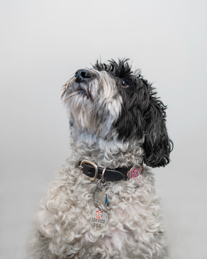 Bailey