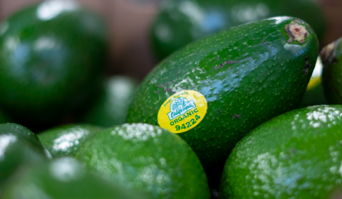 Del Rey Avocado Featured Image