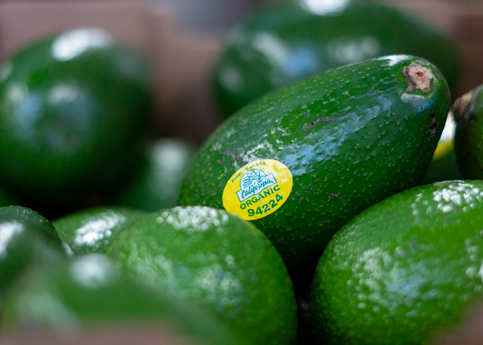 Del Rey Avocado TMD Creative